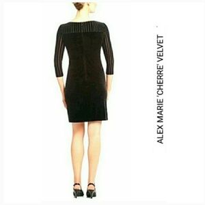 Alex Marie velvet dress